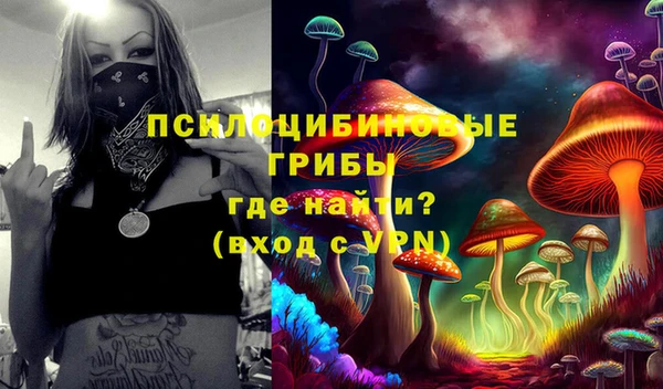 mdma Богданович
