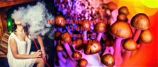 mdma Богданович